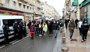 Quelques Gilets jaunes ont défilé rue de la République à Avignon.
