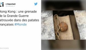 Hong Kong. Une grenade dégoupillée découverte dans des patates françaises