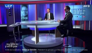 Audition publique - Gilles Le Gendre, Président du groupe « La République en marche » à l´Assemblée nationale