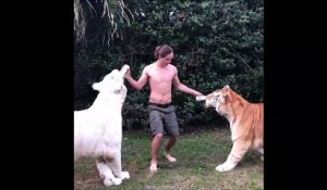 Cet Américain donne le biberon à ses deux gros bébés tigres