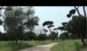 Le Bois des Pins, histoire du poumon vert de Beyrouth 1/2 - OLJ