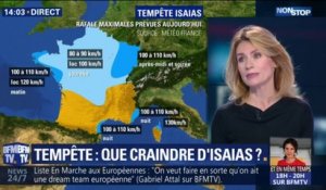 La tempête Isaias balaye la France ce dimanche: à quoi faut-il s'attendre? 