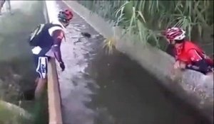 2 cyclistes sauvent un sanglier sur le point de se noyer dans un canal