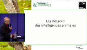 Conférence d'Éric Baratay : Les dessous de l'intelligence animale