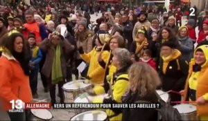 Allemagne : un référendum pour sauver les abeilles ?