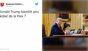 Japon. Shinzo Abe nomme Donald Trump pour le prix Nobel de la paix