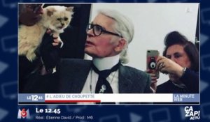 Choupette va-t-elle hériter de la fortune de Karl Lagerfeld ?