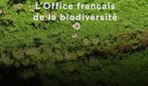 Création de l'Office français de la biodiversité