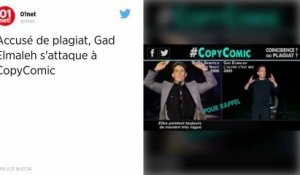 Gad Elmaleh fait supprimer de Twitter les vidéos l’accusant de plagiat