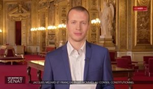 Jacques Mézard et François Pillet nommés au Conseil constitutionnel - Les matins du Sénat (22/02/2019)