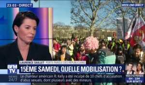 Gilets jaunes : 15ème samedi, quelle mobilisation ?