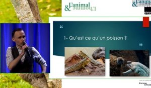 Conférence de Sébastien Moro : Qui sont les poissons?