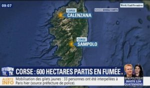 Corse: au moins 600 hectares ravagés par des incendies