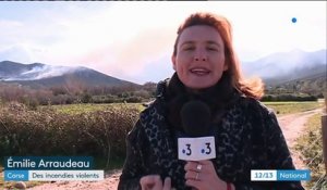 Corse : des incendies d'origine criminelle ?