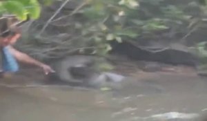 Un homme vient tirer la queue d'un anaconda géant