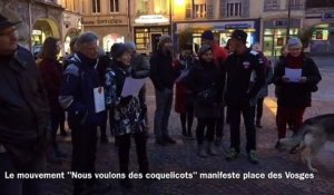 L'association "Nous voulons des coquelicots" manifeste place des Vosges
