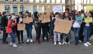 Manif des lycéens pour le climat