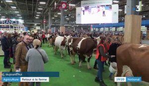 Salon de l'agriculture : 633 000 visiteurs pour l'édition 2019