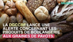 Pain au pavot : plusieurs cas de contamination aux alcaloïdes