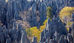 Une "cathédrale de calcaire" à Madagascar