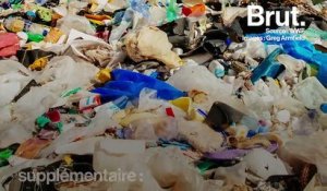 L'ONG WWF a une solution qui pourrait nous sortir de la crise du plastique