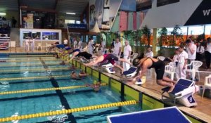 Spots : Natation, championnats de France des Maitres - 11 Mars 2019