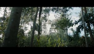 The Mercy of the Jungle / La Miséricorde de la jungle (2019) - Trailer (English Subs)