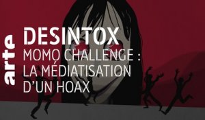 Momo challenge : la médiatisation d'un hoax - 14/03/2019 - Désintox