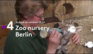 Zoo nursery Berlin - Bande annonce