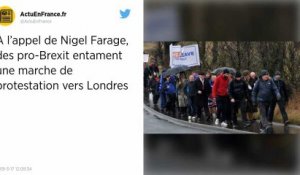 Brexit. Nigel Farage entame une marche de 430 km contre la « trahison » des parlementaires