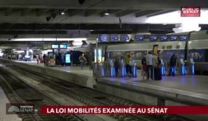 Tour d'horizon de l'actualité du Sénat et de l'actualité du jour. - Territoire Sénat (19/03/2019)