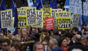 Brexit : Près d'un million de britannique dans les rues de Londres samedi