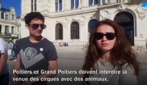 À Poitiers, des militants demandent l'arrêt des cirques avec des animaux