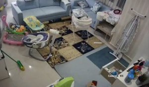 Un bébé sauvé juste avant l'effondrement du plafond