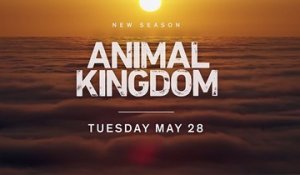 Animal Kingdom - Trailer Saison 4