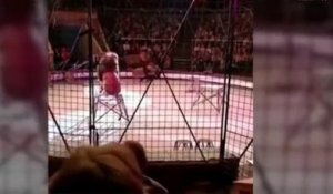 Un lion de cirque déchaîné attaque son maître devant une foule terrifiée