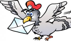 La vente aux enchères d'un pigeon voyageur pour 1,25 million d’euros