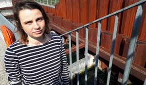 DNA - 3 Questions à Charline Morandi, technicienne hydro-biologiste à l'association Saumon Rhin