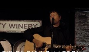 ONE ON ONE: Stephan Jenkins - Slow Motion December 14th, 2016 City Winery New York