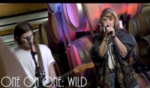 ONE ON ONE: Streets Of Laredo - Wild January 14th, 2017 City Winery New York
