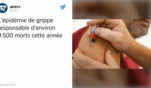 9 500 morts imputables à l’épidémie de grippe, selon un bilan provisoire