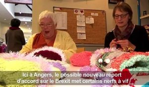 Brexit: les Britanniques de France en plein désarroi