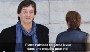 Pierre Palmade en garde à vue, enquête pour viol