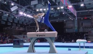 Euro de gymnastique : Cyril Tommasone médaillé d'argent aux arçons huit ans après la première