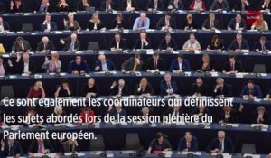 Quels sont les différents groupes au Parlement européen ?