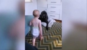 Ce bébé vire le chien de son panier et prend sa place ... Même pas peur