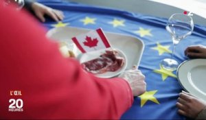Le CETA risquait de ruiner les agriculteurs français ? Pour l'instant, c'est tout l'inverse