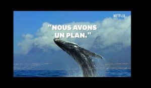 Jour de la Terre : Le narrateur de "Notre Planète" sur Netflix a un message d&#39;espoir