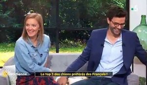 Dans "La quotidienne" sur France 5, une chiot perturbe le direct et mange la robe de Maya Lauqué - Regardez