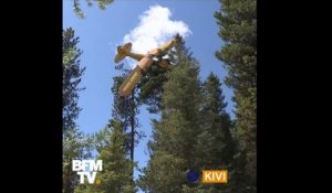 Un pilote atterrit malencontreusement dans un arbre de 18 mètre haut aux États-Unis